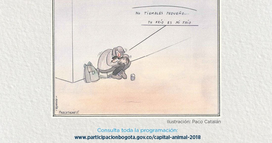 Capital Animal 2018