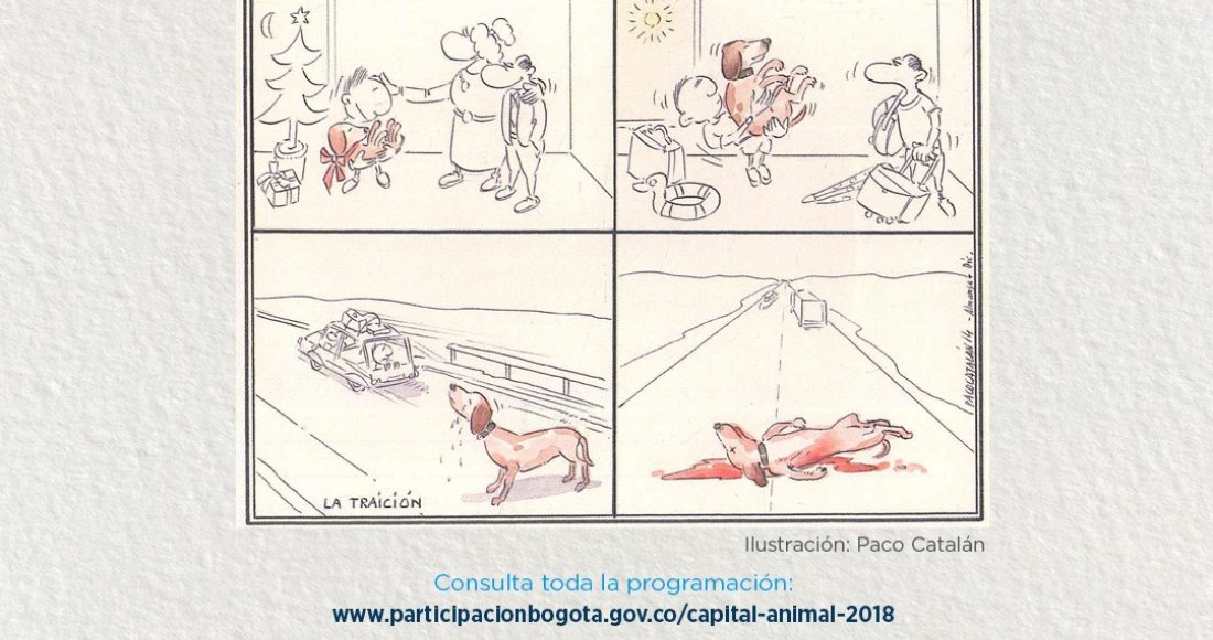 Capital Animal 2018