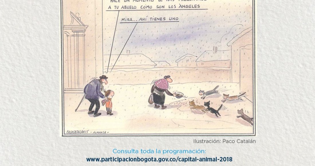 Capital Animal 2018