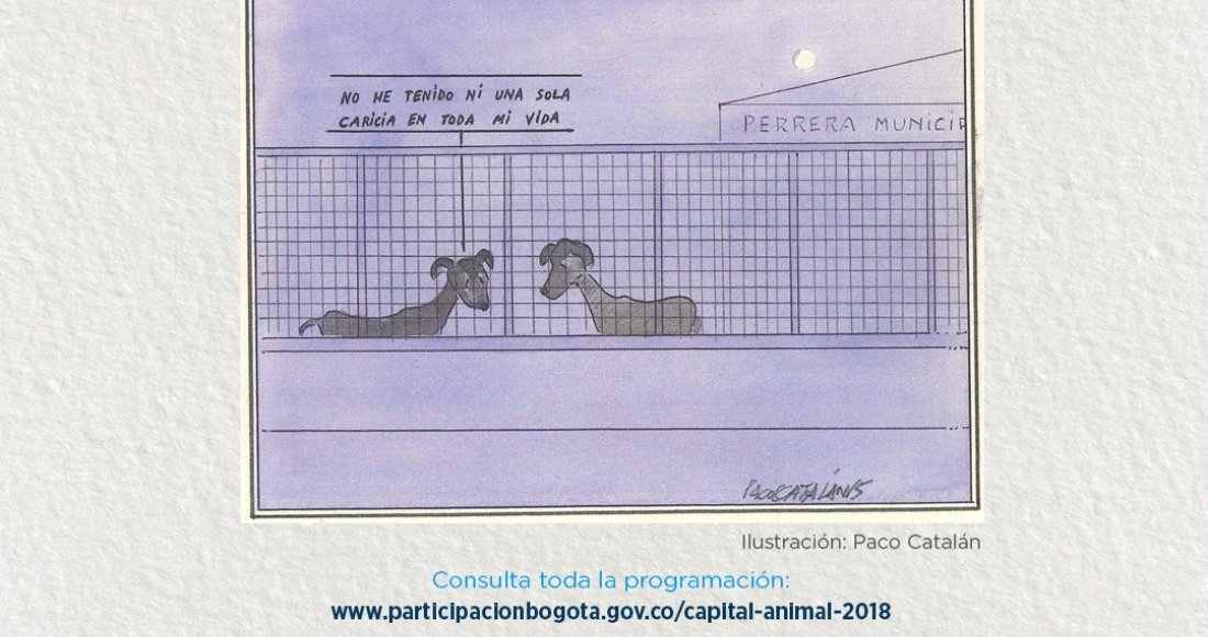 Capital Animal 2018