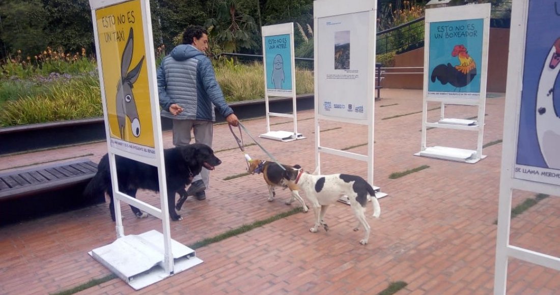 “Papalí, Emita y Don Ramón” visitan la exposición fotográfica de Bogotá Capital Animal