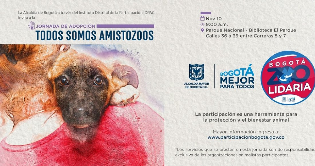 Bogotá Capital Animal: todos a adoptar por una ‘Bogotá ZOOlidaria’ 