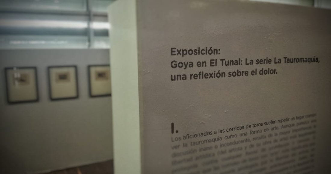 El arte, la cultura y la muerte en ‘Bogotá Capital Animal’ a través de Goya 