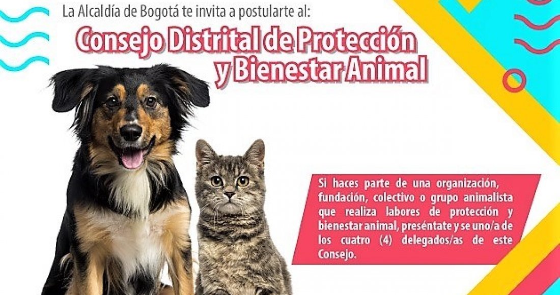 Abiertas inscripciones para el proceso de Elección al 'Consejo Distrital de Protección y Bienestar Animal'