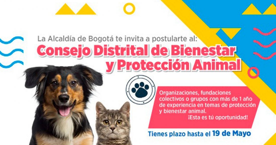 Participe en la convocatoria al proceso de elección del 'Consejo Distrital de Bienestar Protección Animal'