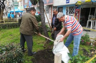 Siembraton en el barrio San Cayetano en la localidad de Suba