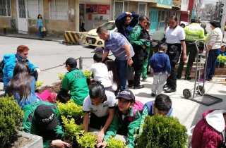 Siembraton en el barrio San Cayetano en la localidad de Suba