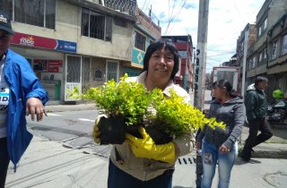 Siembraton en el barrio San Cayetano en la localidad de Suba