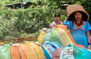 Bogotá comprometida con las comunidades indígenas víctimas del conflicto armado en medio de la pandemia