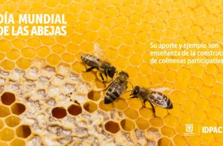 Día Mundial de las Abejas: un espejo ideal de la humanidad