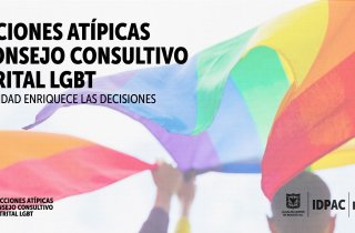 Elecciones atípicas al Consejo Consultivo Distrital LGBT