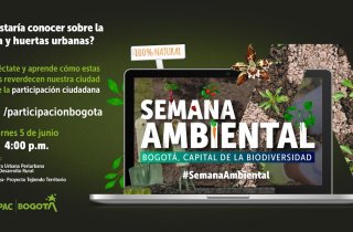 Siembra y participa con nuestro Facebook Live ambiental ‘Huertas Urbanas y Agricultura Urbana’