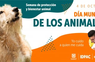  “Yo cuido a quien me cuida”: 4 de octubre, Día Mundial de los Animales 