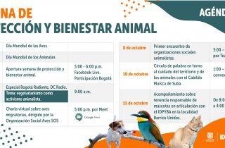 Cronograma de la Semana de Protección Y Bienestar Animal