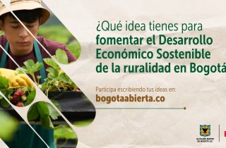 ¿Qué ideas tienes para fomentar el Desarrollo Económico Sostenible de la Ruralidad en Bogotá?