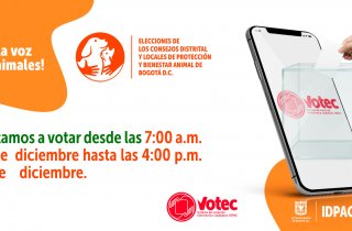 Votaciones Elecciones Protección y Bienestar Animal