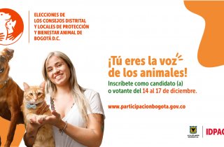 Elecciones de los Consejos Distrital y Locales de Protección y Bienestar Animal de Bogotá D.C.