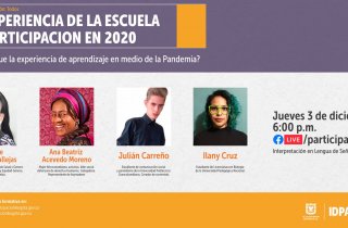 ¿Cómo fue la experiencia de la Escuela de Participación en 2020?