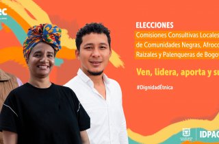 Lineamientos para la elección de los representantes a las Comisiones Consultivas Locales de Comunidades Negras, Afrocolombianas, Raizales y Palenqueras de Bogotá D.C.