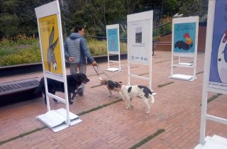 “Papalí, Emita y Don Ramón” visitan la exposición fotográfica de Bogotá Capital Animal