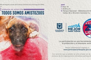 Bogotá Capital Animal: todos a adoptar por una ‘Bogotá ZOOlidaria’ 