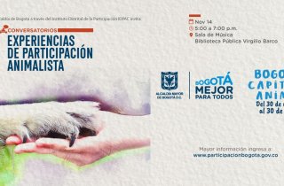 Un conversatorio para conocer experiencias de Participación Animalista