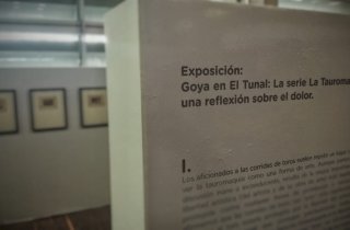 El arte, la cultura y la muerte en ‘Bogotá Capital Animal’ a través de Goya 