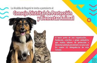 Abiertas inscripciones para el proceso de Elección al 'Consejo Distrital de Protección y Bienestar Animal'