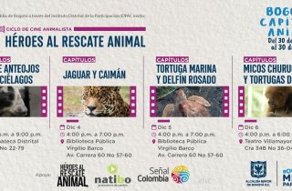 Asista gratis al ciclo de cine animalista “Héroes al Rescate”, para concientizar sobre el respeto hacia la fauna